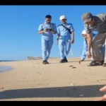 Aksi pelepasan tukik di Pantai Sembilan Sumenep, Jawa Timur oleh mahasiswa dan warga. (Slamet Hidayat)-1687507232