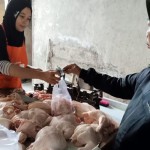Aktivitas salah seorang pedagang ayam broiler di Dasan Sari, Kota Mataram, Provinsi Nusa Tenggara Barat.  (ANTARA/Nirkomala)-1687773238