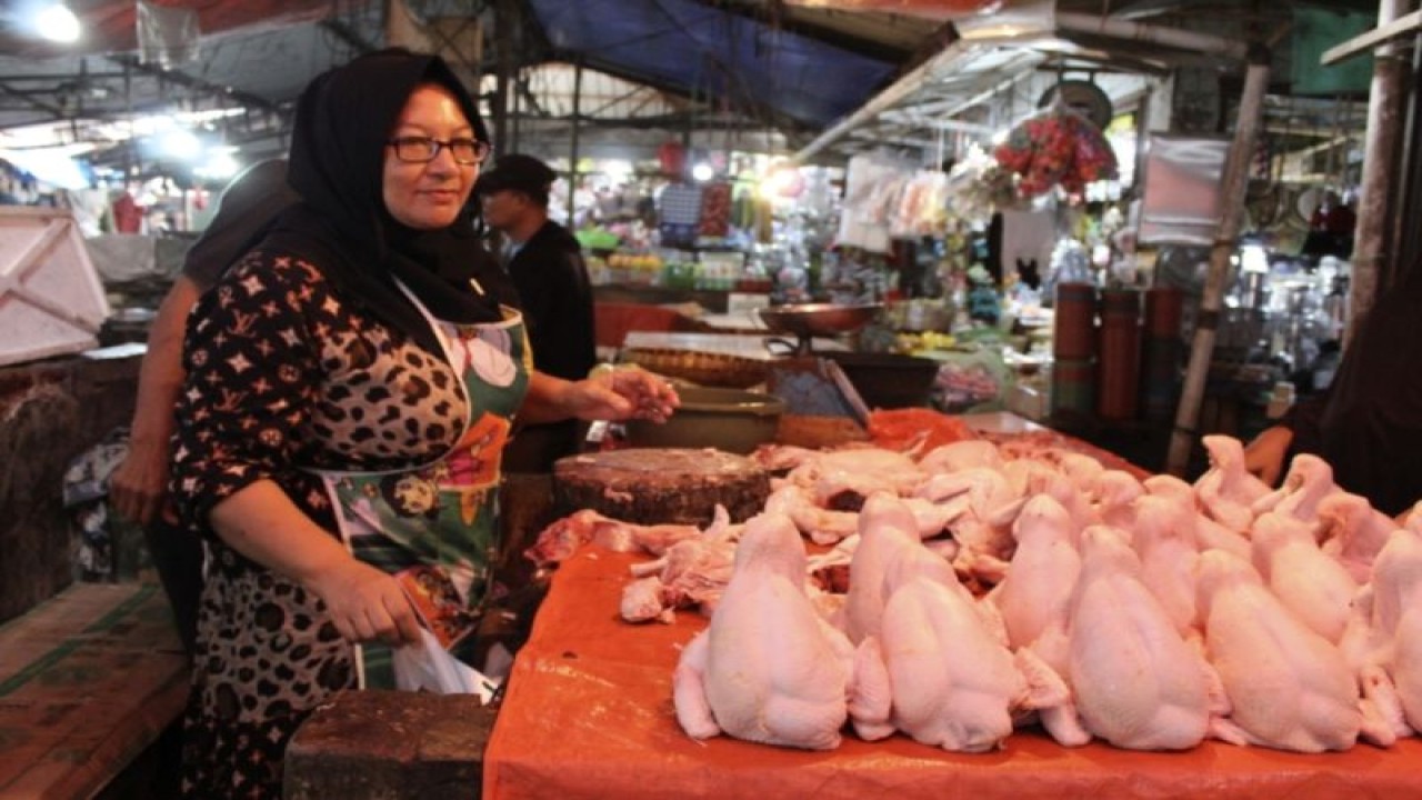 Ilustrasi- Pedagang ayam potong yang ada di salah satu pasar tradisional di Kota Bandarlampung. ANTARA/Ruth Intan Sozometa Kanafi.