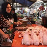 Ayam-1687501339