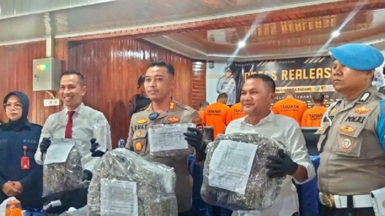 Wakapolresta Padang AKBP Ruly Indra Wijayanto menunjukkan barang bukti ganja dari hasil pengungkapan kasus Satuan Reserse Narkoba pada Senin (12/6/2023). ANTARA/Fathul Abdi