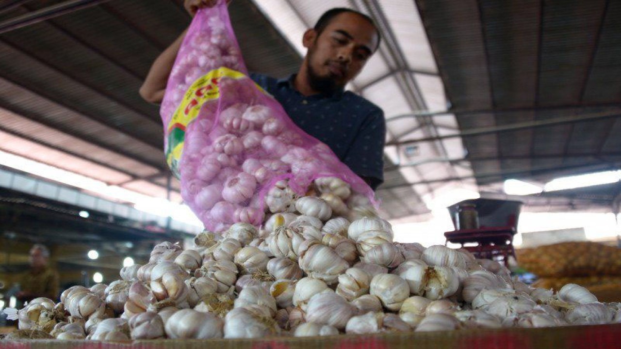 Ilustrasi - Pedagang menaruh bawang putih di tempat dagangannya. ANTARA FOTO/Ampelsa