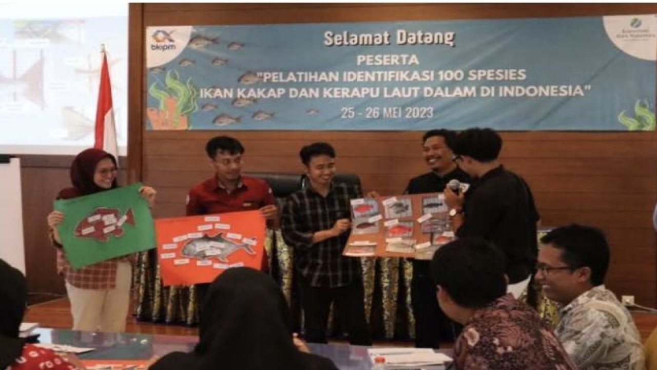 Pelatihan identifikasi spesies ikan kakap dan kerapu yang diselenggarakan BKIPM Denpasar bekerja sama dengan Yayasan Konservasi Alam Nusantara (YKAN) pada 25--26 Mei 2023, di aula Kantor Balai KIPM Denpasar, Bali. (ANTARA/HO-YKAN).