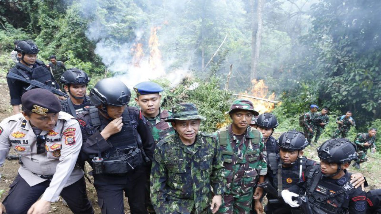 BNN RI saat melakukan pemusnahan ladang ganja seluas 1,5 hektar di kawasan Desa Rao rao Dolok, Kecamatan Tambangan. (ANTARA/HO)