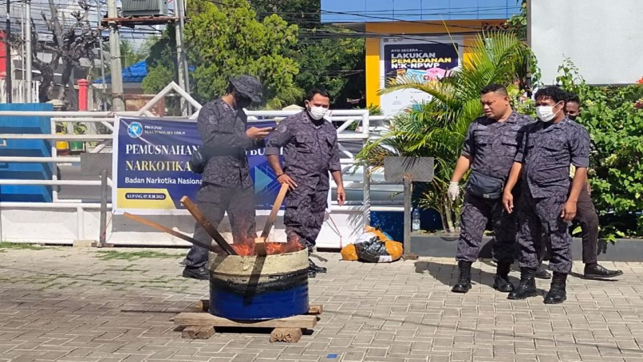 Pemusnahan narkotika di kantor BNNP NTT, Rabu (7/6). ANTARA/Ho-Ronny