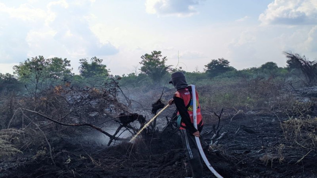 Arsip Foto - Petugas memadamkan kebakaran lahan gambut di Kota Palangka Raya, Provinsi Kalimantan Tengah. (ANTARA/HO-BPBD Kota Palangka Raya)