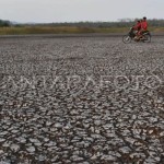 BPBD: Sembilan kecamatan di Kabupaten Malang rawan kekeringan-1686042873
