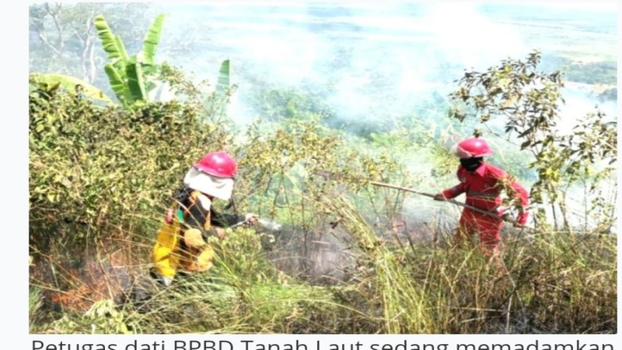 Petugas dati BPBD Tanah Laut sedang memadamkan api di salah satu lokasi lahan terbakar di Wilayah Kabupsten Tanah Laut.Foto:ANTARA/HO-BPBD Tanah Laut
