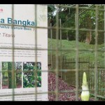 Cibodas-1688119711