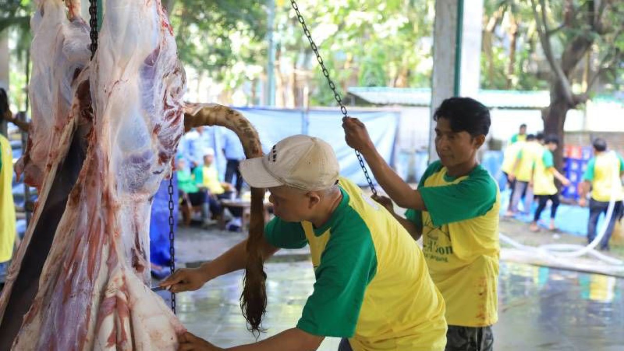 Petugas sedang memotong daging hewan kurban di Masjid Raya Al Azhom, Kota Tangerang, Provinsi Banten, Kamis (29/6/2023). Pengurus Masjid Raya Al Azom menyebut ada 15 sapi dan sembilan kambing yang dipotong pada tahun ini. FOTO ANTARA/Irfan