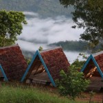 Desa Wisata Sani-Sani di Kabupaten Kolaka, Sulawesi Tenggara, Kamis (15/6/2023) (ANTARA/HO-Dispar Sultra)-1686822000