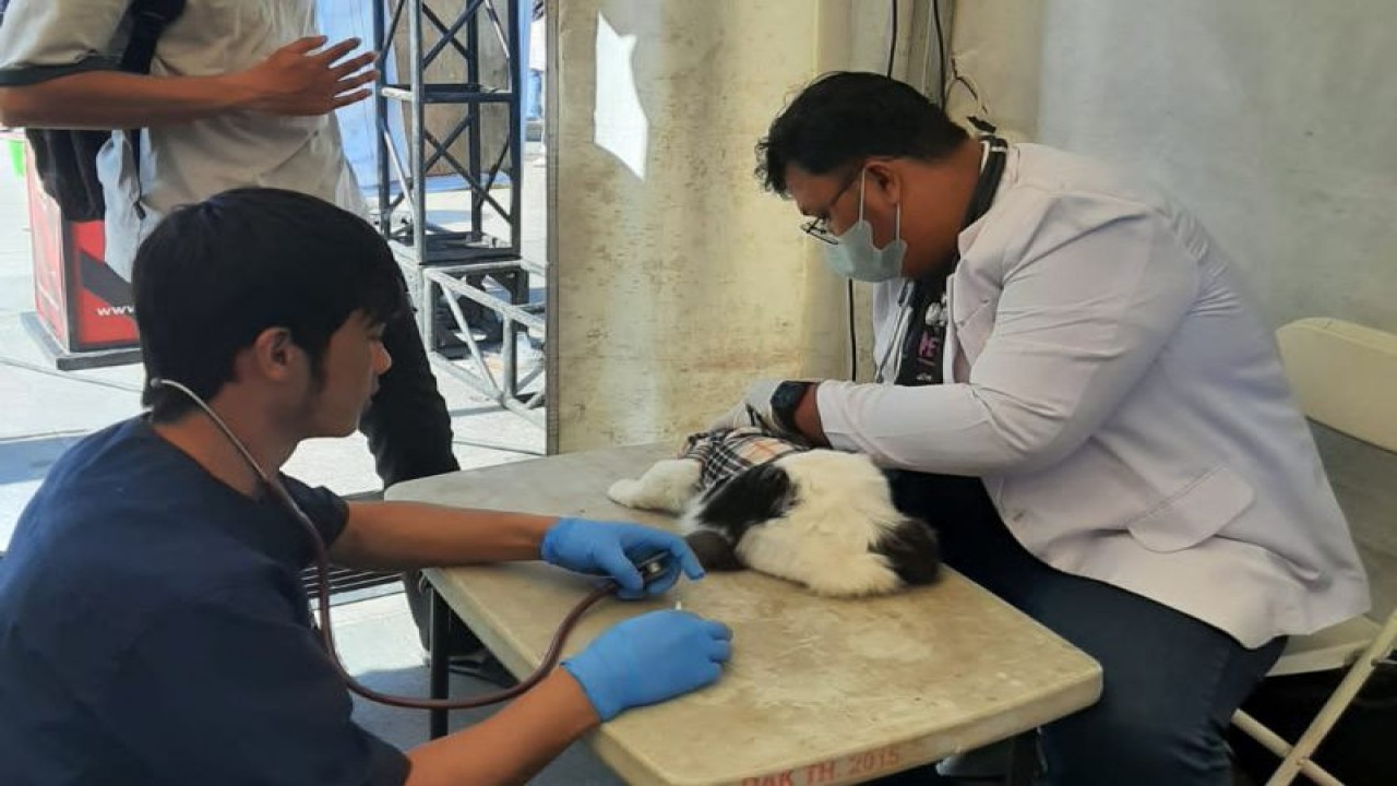 Petugas kesehatan hewan melakukan vaksinasi rabies terhadap hewan peliharaan warga di Kabupaten Garut, Jawa Barat. (ANTARA/HO-Diskominfo Garut)