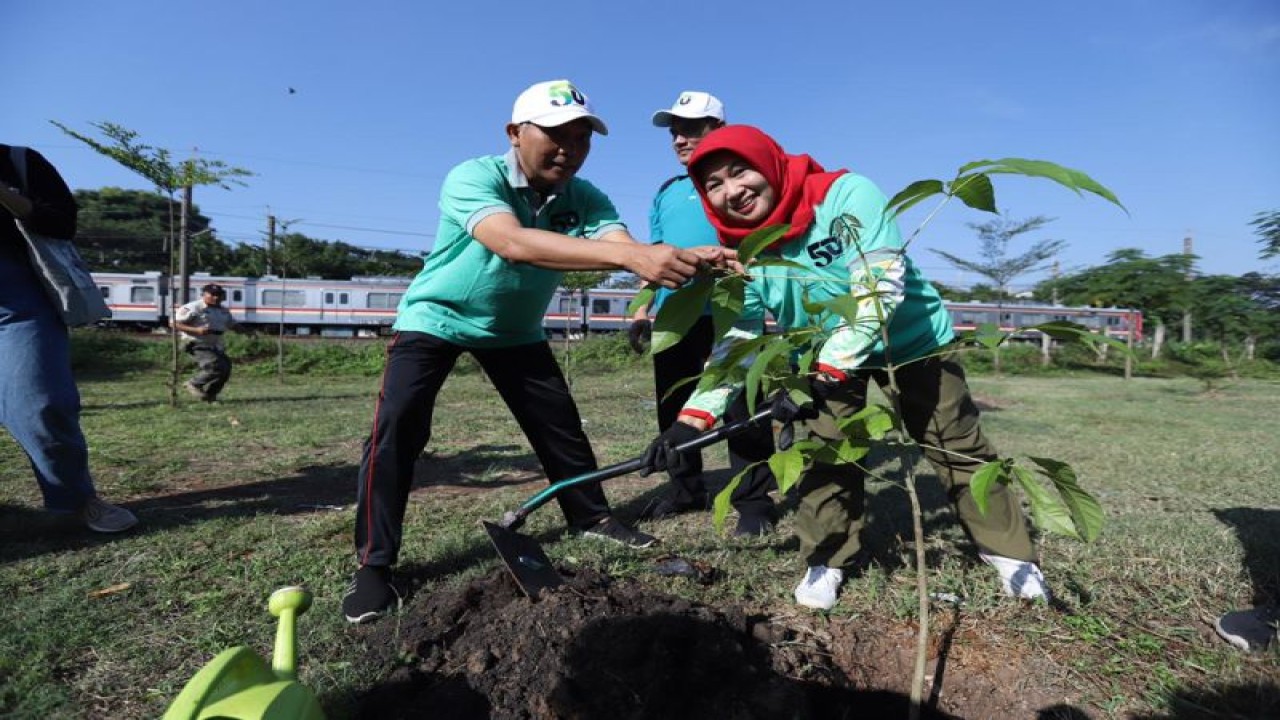 Asisten Ekonomi, Pembangunan, dan Lingkungan Hidup Provinsi DKI Jakarta Sri Haryati saat menanam pohon bersama PT. Jakarta Industrial Estate Pulogadung (JIEP) di Jalan Rawa Sumur IV, Kawasan Industri Pulogadung, Kelurahan Jatinegara, Kecamatan Cakung, Jakarta Timur, Jumat (9/6/2023). ANTARA/HO-Kominfotik Jakarta Timur