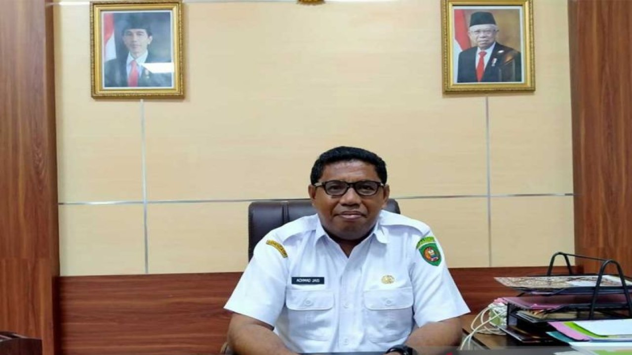 Kepala Dinas Ketahanan Pangan (DKP) Provinsi Maluku, Ahmad Jais Ely (Antara/DedyAzis)