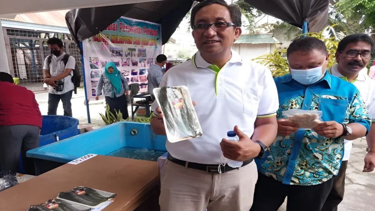 Kepala Dinas Perikanan dan Kelautan Provinsi Sulteng Moh. Arif Latjuba memperlihatkan salah satu produk UMKM sektor kelautan dan perikanan saat pameran UMKM bertajuk "Pasar UMKM Maroso" di Halaman Kantor DKP Sulteng di Palu, Kamis (9/6/2022). (ANTARA/Muhammad Hajiji)