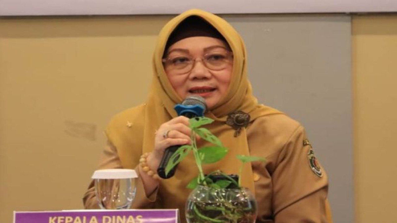 Dinas Kependudukan, Pemberdayaan Perempuan dan Perlindungan Anak Provinsi Kalimantan Timur (DKP3A Kaltim) Noryani Sorayalita (Antara/ HO DKP3A Kaltim)