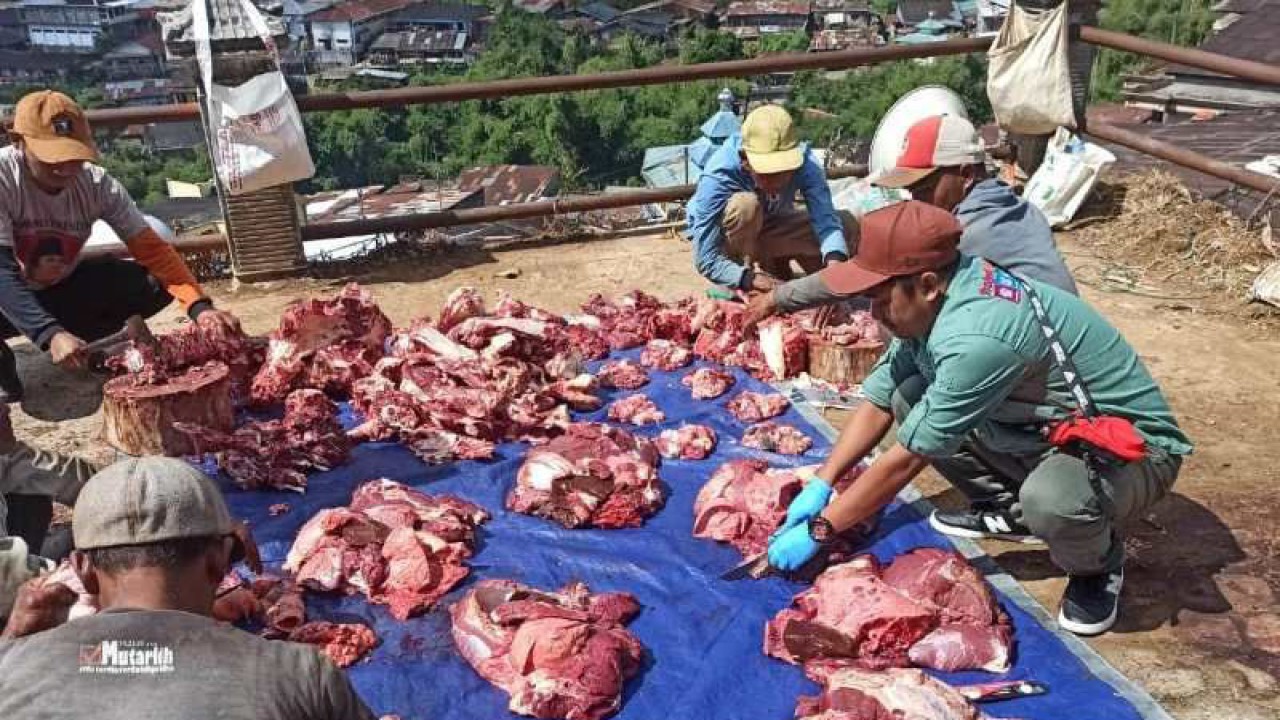 Petugas Dinas Ketahanan Pangan, Pertanian, dan Perikanan (DKPPP) Kabupaten Temanggung memeriksa jeroan hewan kurban yang telah dipotong. ANTARA/HO - DKKKP Temanggung