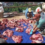 DKPPP-1687953799