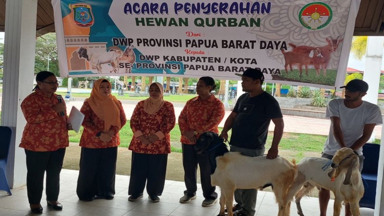 DWP tingkat Provinsi Papua Barat Daya menyerahkan bantuan hewan kurban kepada DWP tingkat kabupaten dan kota, Jumat (23/6) (ANTARA/Yuvensius Lasa Banafanu)