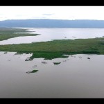 Foto aerial Danau Limboto di Kabupaten Gorontalo, Gorontalo. ANTARA/Adiwinata Solihin-1686900307