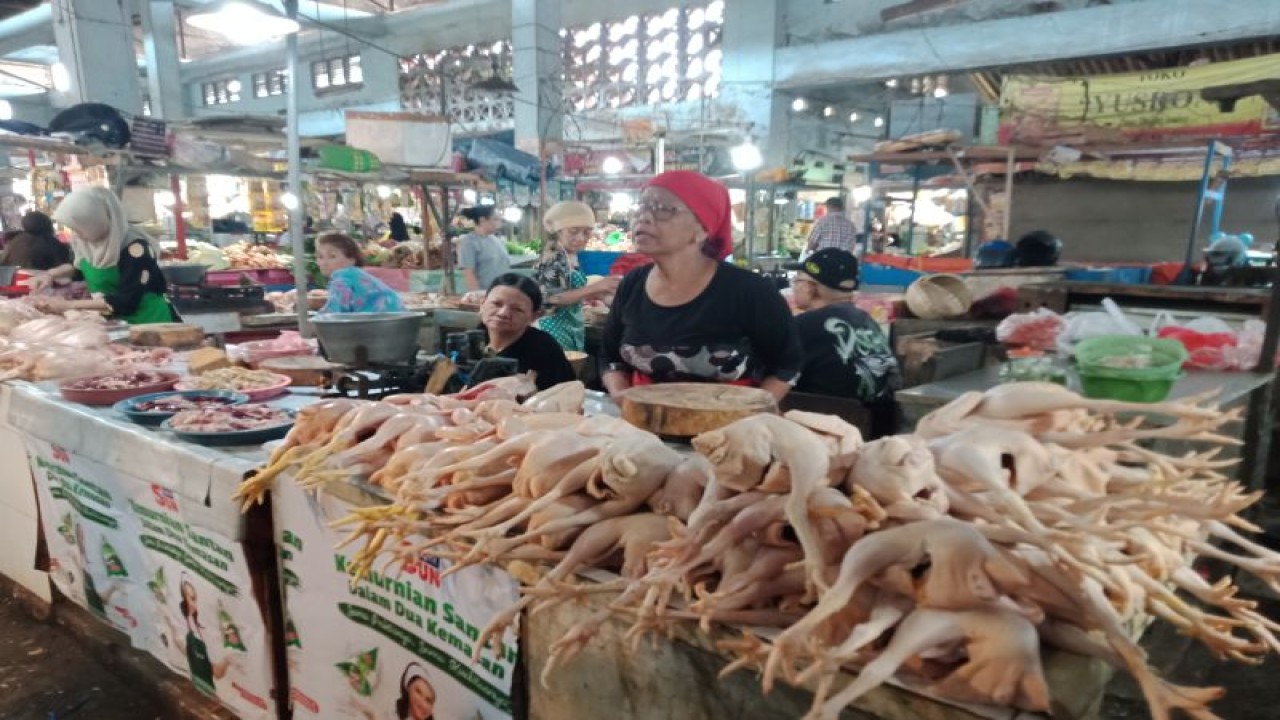 Foto dok. Penjual daging ayam ras sedang menunggu pembeli di Pasar Tanjung Jember (ANTARA/Zumrotun Solichah)