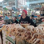 Foto dok. Penjual daging ayam ras sedang menunggu pembeli di Pasar Tanjung Jember (ANTARA/Zumrotun Solichah)-1687939169