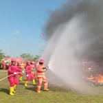 GAPKI wajibkan anggota siapkan sarana antisipasi kebakaran lahan-1687858089