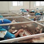 Gaprindo minta aturan tembakau di RUU Kesehatan tak diskriminasi IHT-1686728532