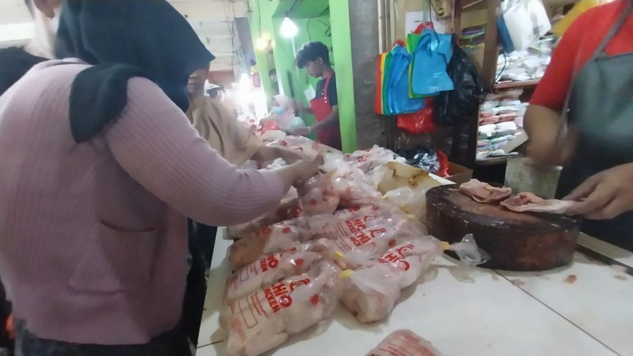 Sejumlah warga sejak pagi penuhi pasar Gamalama dan Bastiong Ternate, pada H-1 hari raya Idul Adha 1444 Hijriah, Rabu (28/6/2023). ANTARA/Abdul Fatah (Abdul Fatah)