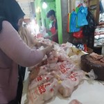 Harga ayam potong di Pasar Rakyat Ternate naik-1687938860