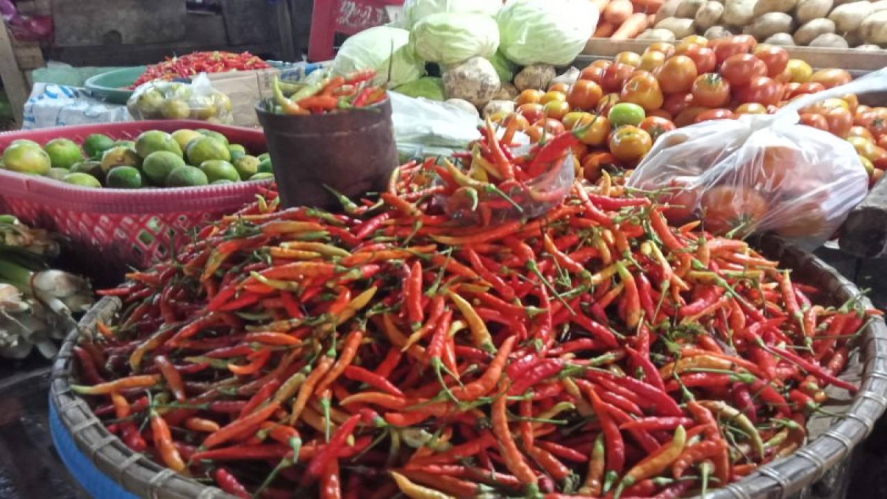 Ilustrasi cabai merah dan rawit yang mengalami kenaikan harga jelang Hari Raya Idul Adha 1444 di sejumlah pasar tradisional diantaranya Pasar Terong, Makassar, Selasa (27/6/2023). Antara/ Suriani Mappong