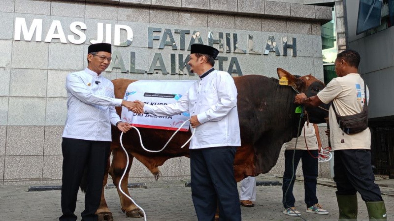 Penjabat (Pj) Gubernur DKI Jakarta Heru Budi Hartono menyerahkan sapi limosin seberat 1 ton kepada panitia kurban Pemerintah Provinsi (Pemprov) DKI Jakarta di Balai Kota DKI, Jakarta Pusat, Kamis (29/6/2023). ANTARA/Siti Nurhaliza