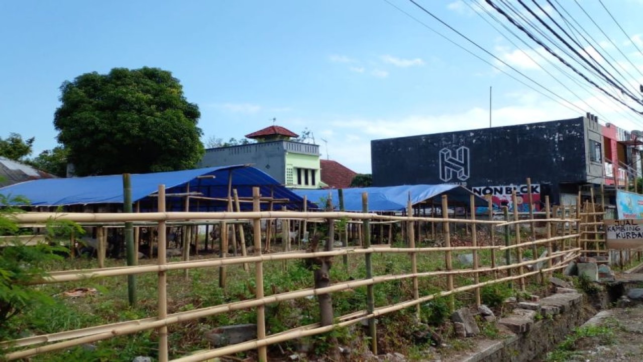 Salah satu titik pedagang kambing kurban di Jalan Catur Warga Kota Mataram Provinsi Nusa Tenggara Barat. (ANTARA/Nirkomala)