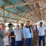 Hewan kurban di Pasaman Barat 70 persen berasal dari peternak lokal-1687426110