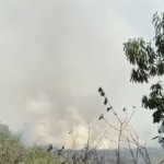 hutan-1685944209