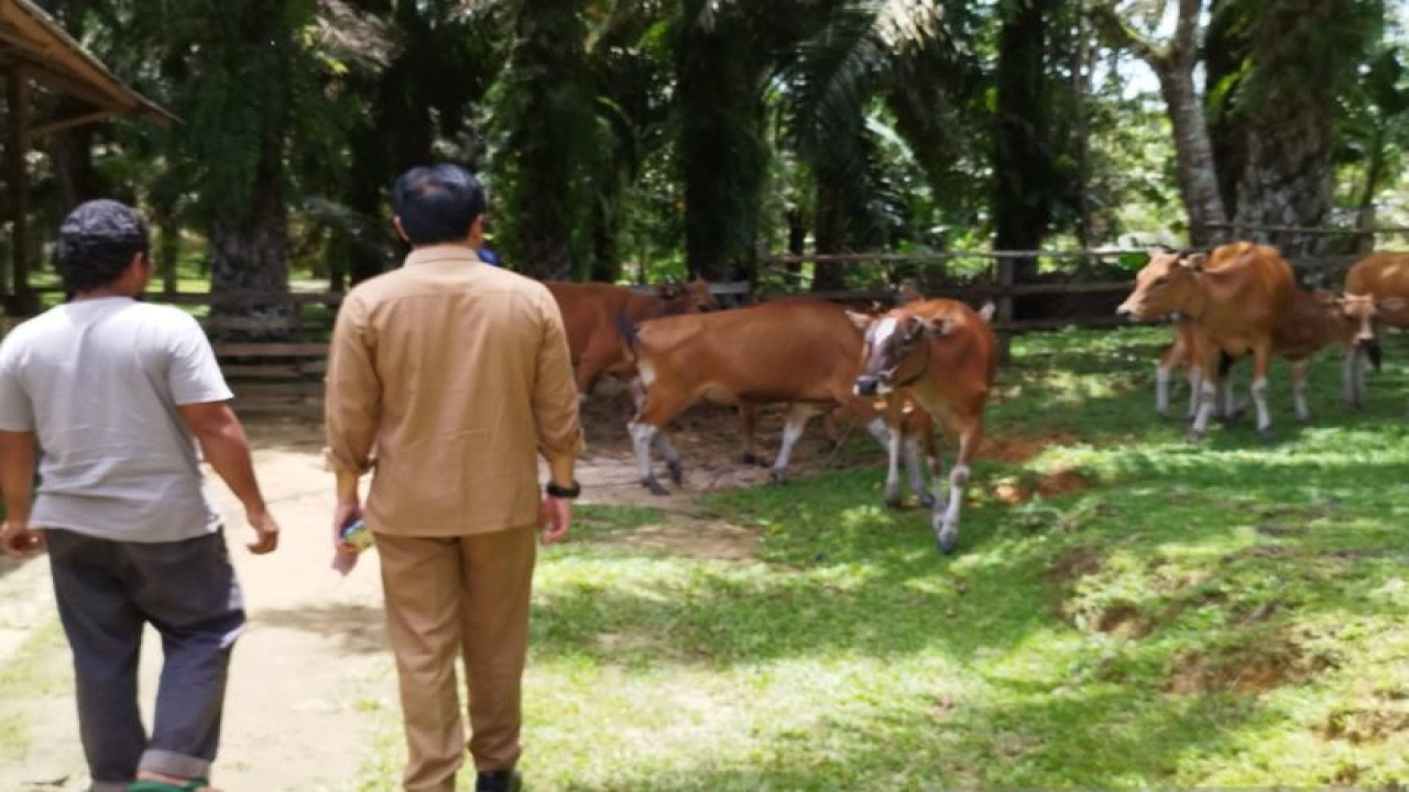 Kadisbunnak Kalbar, Heronimus Hero saat meninjau lokasi penerapan SISKA (ANTARA/Dedi)
