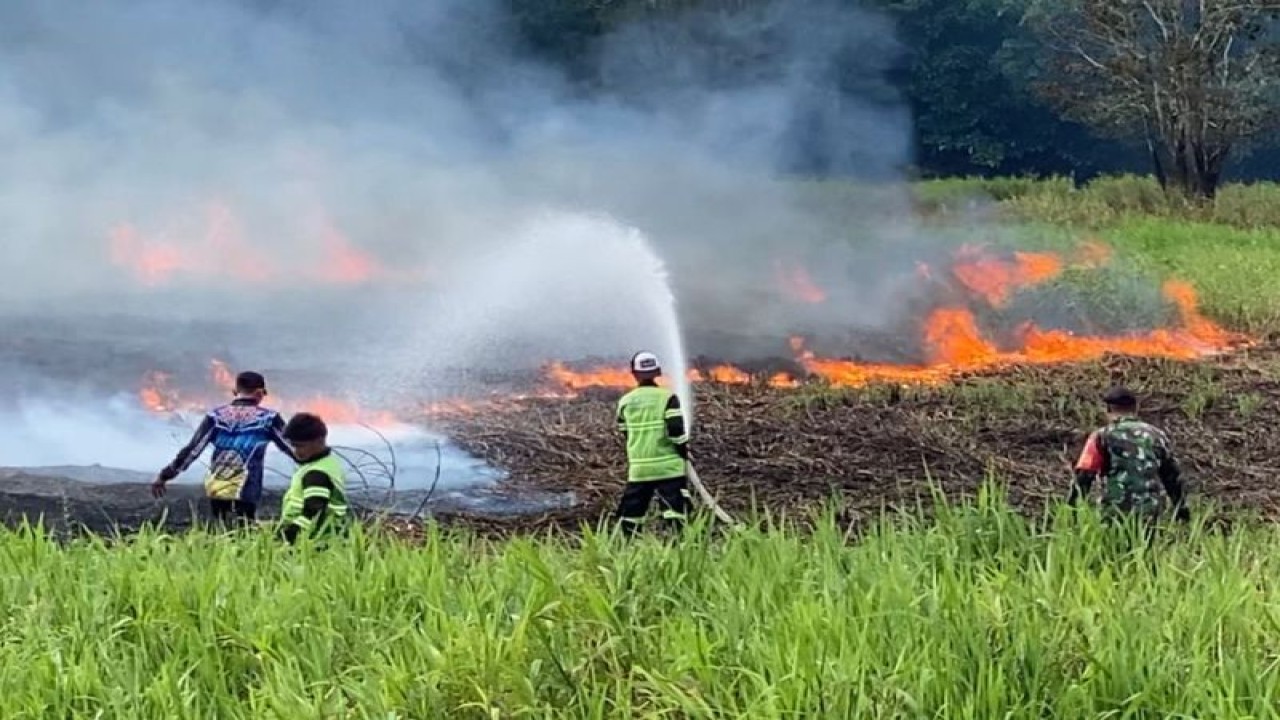 Tim gabungan melakukan pemadaman karhutla yang terjadi di Jalan Bengaris 11 Kota Palangka Raya, Kalimantan Tengah pada siang hari, Minggu (11/6/2023). ANTARA/BPBD Palangka Raya