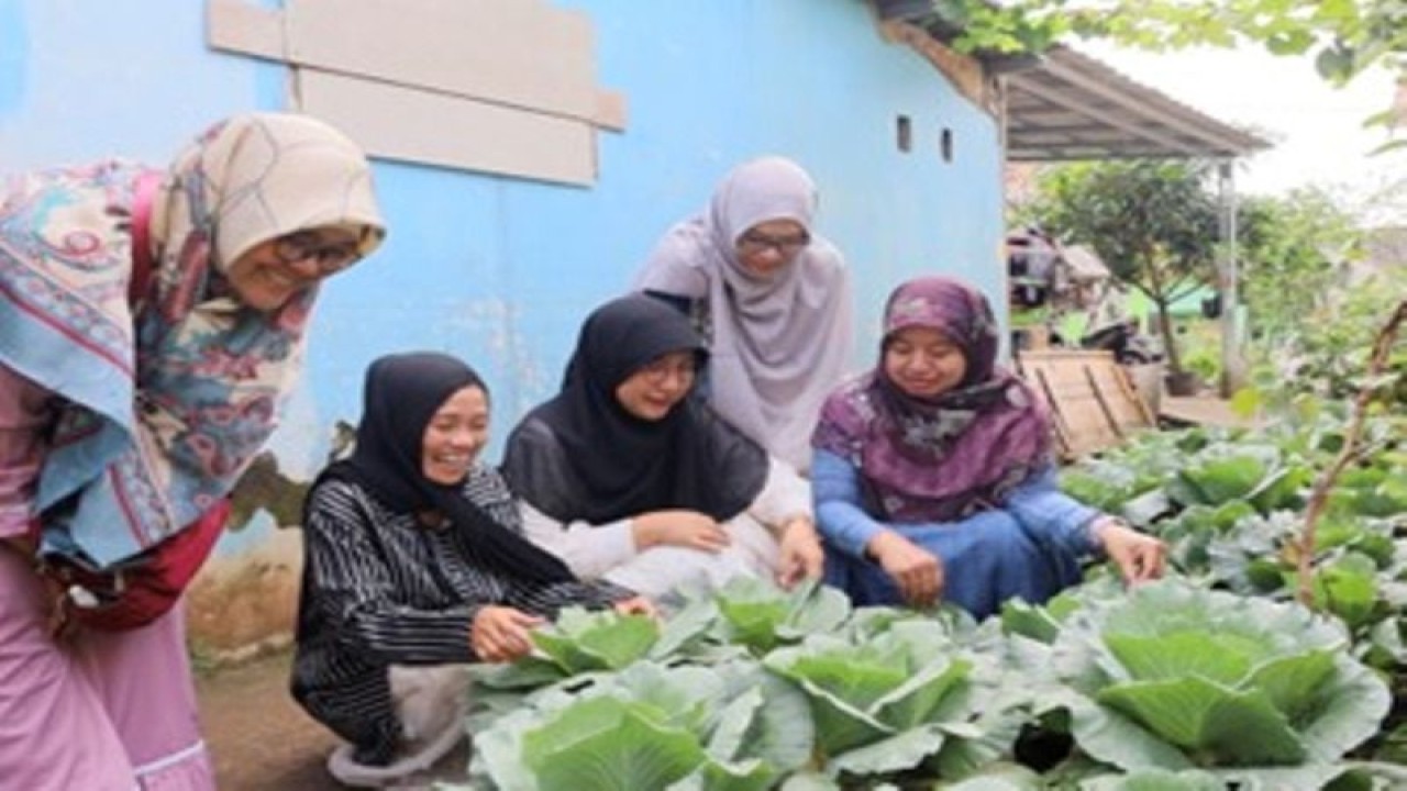 Kegiatan anggota Komunitas Depot Kompos Dahlia di Sawangan Baru, Kota Depok, Jawa Barat. (ANTARA/HO: Humas UI)