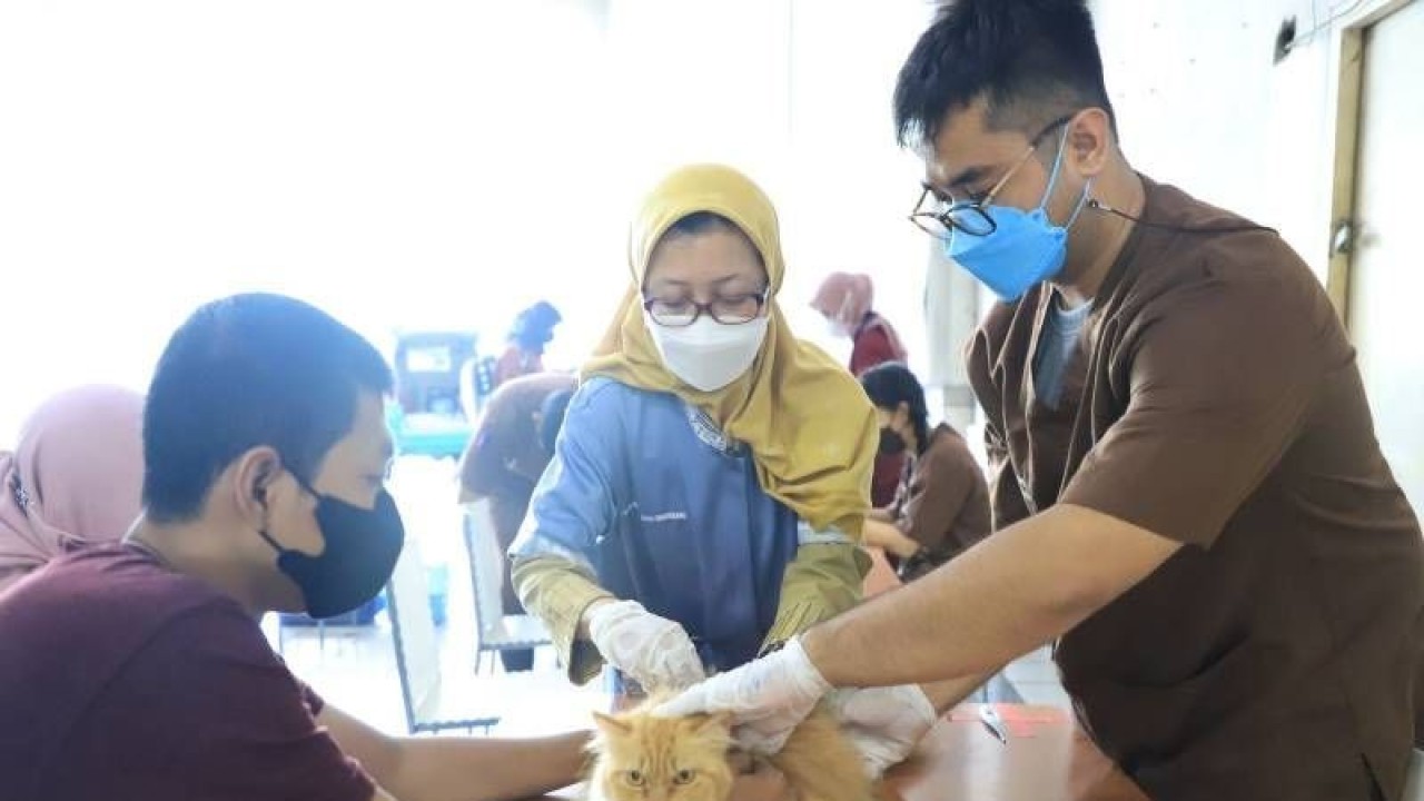 Kegiatan vaksinasi di Puskeswan Kota Tangerang. Foto dokumen Dinas Ketahanan Pangan