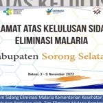 Kemenkes galang kolaborasi percepat penanggulangan malaria di Papua-1686122136