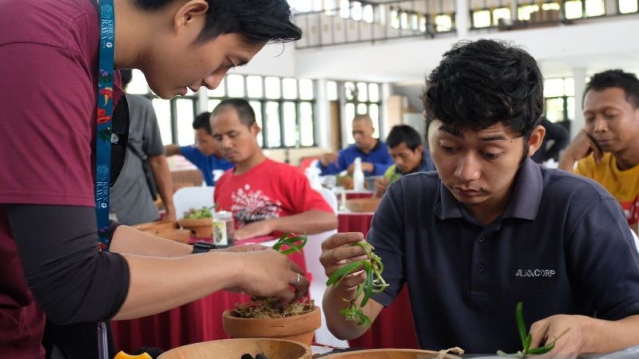 Praktik pelatihan budi daya tanaman hias oleh Kementerian Sosial yang dilakukan di Sentra Wyata Guna, Bandung, pada Ahad (18/6/2023). (ANTARA/HO-Kemensos)