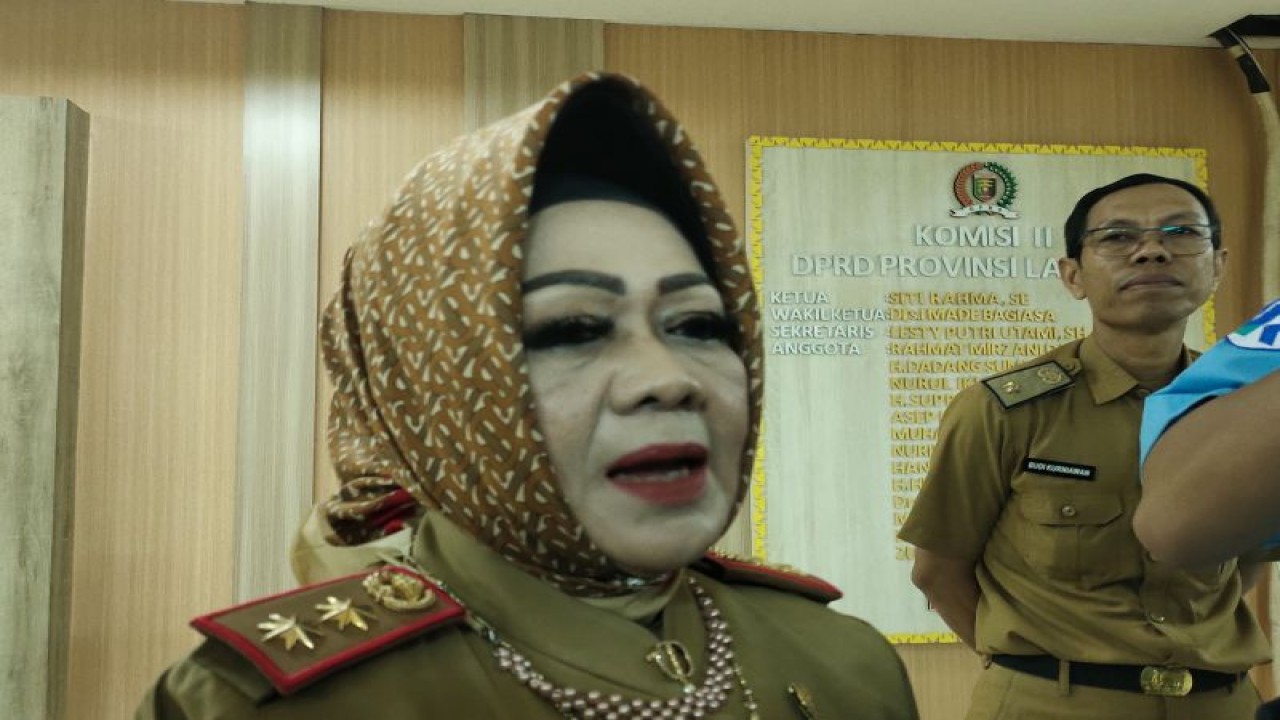 Kepala Dinas Kesehatan Provinsi Lampung Reihana memberikan keterangan. ANTARA/Ruth Intan Sozometa Kanafi.
