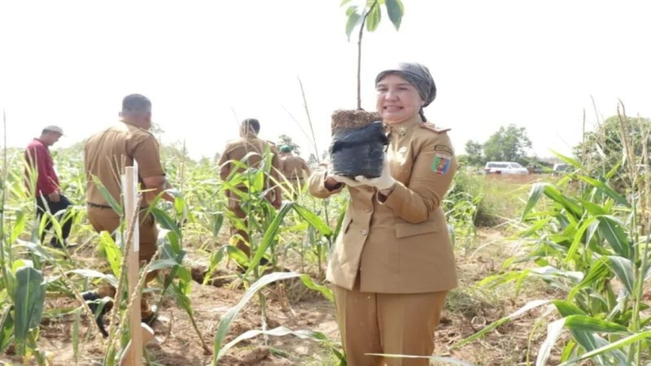 Kepala Dinas Lingkungan Hidup Provinsi Lampung Emilia Kusumawati saat melakukan aksi penghijauan. ANTARA/HO-Pemprov Lampung