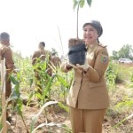 Kepala Dinas Lingkungan Hidup Provinsi Lampung Emilia Kusumawati saat melakukan aksi penghijauan. ANTARA/HO-Pemprov Lampung-1685964953