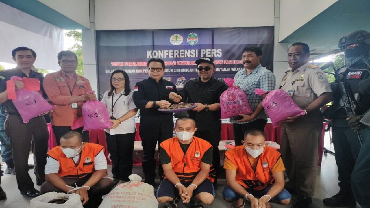 Kementerian Lingkungan Hidup dan Kehutanan (KLHK) menangkap tiga tersangka terkait peredaran dan perdagangan sisik tringgiling sebesar 57 kilogram di Kalimantan Barat. (ANTARA/HO-Kementerian LHK)