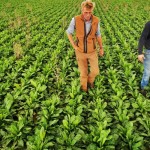 Komisi Eropa tuntaskan paket bantuan untuk petani Uni Eropa-1687936429