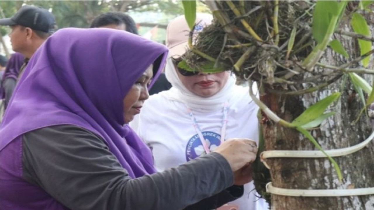 Ketua TP PKK Hulu Sungai Selatan (HSS), Hj Isnaniah Achmad Fikry didampingi Ketua DPD PAI Kalimantan Selatan (Kalsel), Hj. Arinda Dian Susanti melakukan penanaman anggrek di lingkungan RSUD Brigjend H Hasan Basry Kandangan, HSS, Kalsel, Jum'at (2/6/2023). (ANTARA/HO-DISKOMINFO HSS)