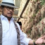 KPK benarkan Mentan tidak hadiri panggilan karena ke India-1686896485