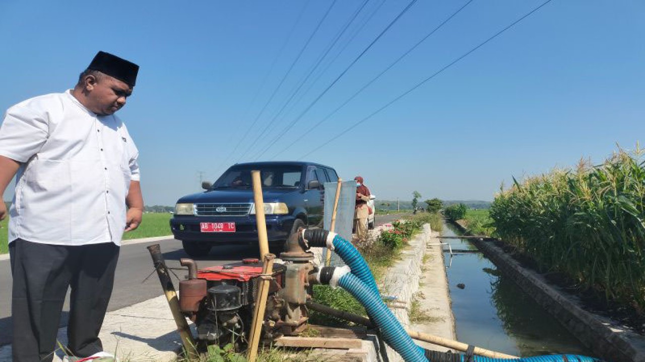 Anggota DPRD Kulon Progo Priyo Santoso meninjau lahan persawahan yang kekurangan air. (ANTARA/Sutarmi)