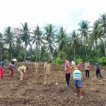 Kulon-1686028456